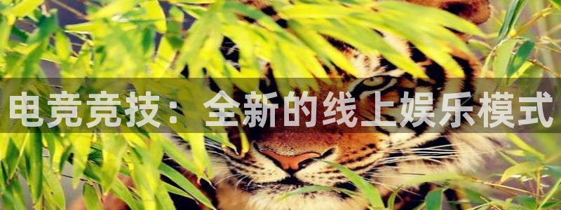必赢电竞最新比赛：电竞竞技：全新的线上娱乐模式