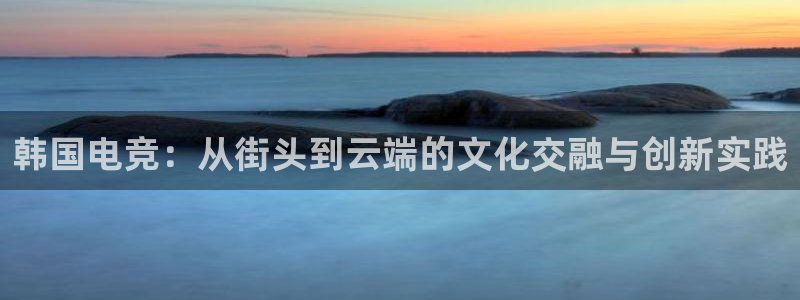 必赢电竞最新比赛：韩国电竞：从街头到云端的文化交融与创新实践