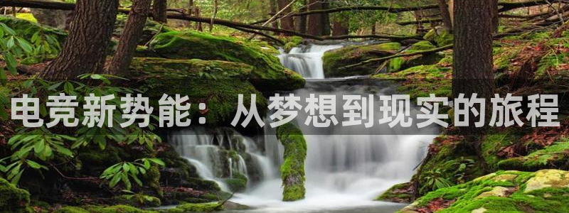 必赢电竞最新比赛：电竞新势能：从梦想到现实的旅程