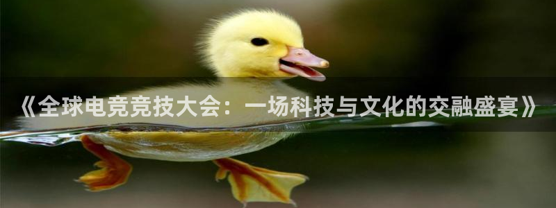 必赢电竞最新比赛：《全球电竞竞技大会：一场科技与文化的交融盛宴》