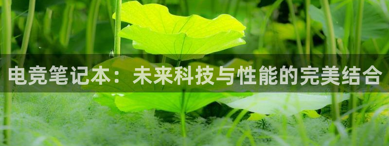 必赢电竞最新比赛：电竞笔记本：未来科技与性能的完美结合