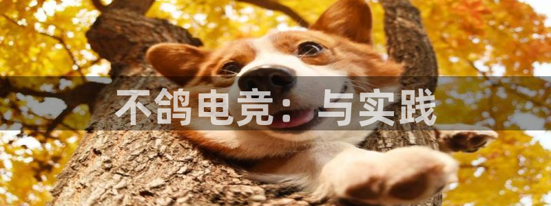 必赢电竞：不鸽电竞：与实践