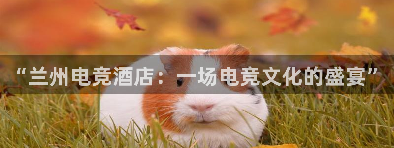 必赢电竞最新比赛：“兰州电竞酒店：一场电竞文化的盛宴”