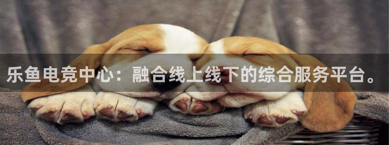 必赢电竞最新比赛：乐鱼电竞中心：融合线上线下的综合服务平台。