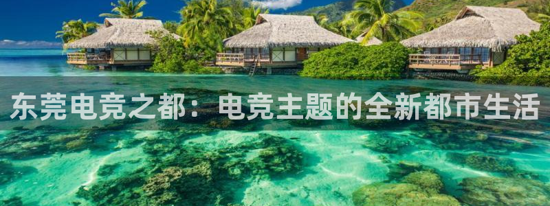 必赢电竞
